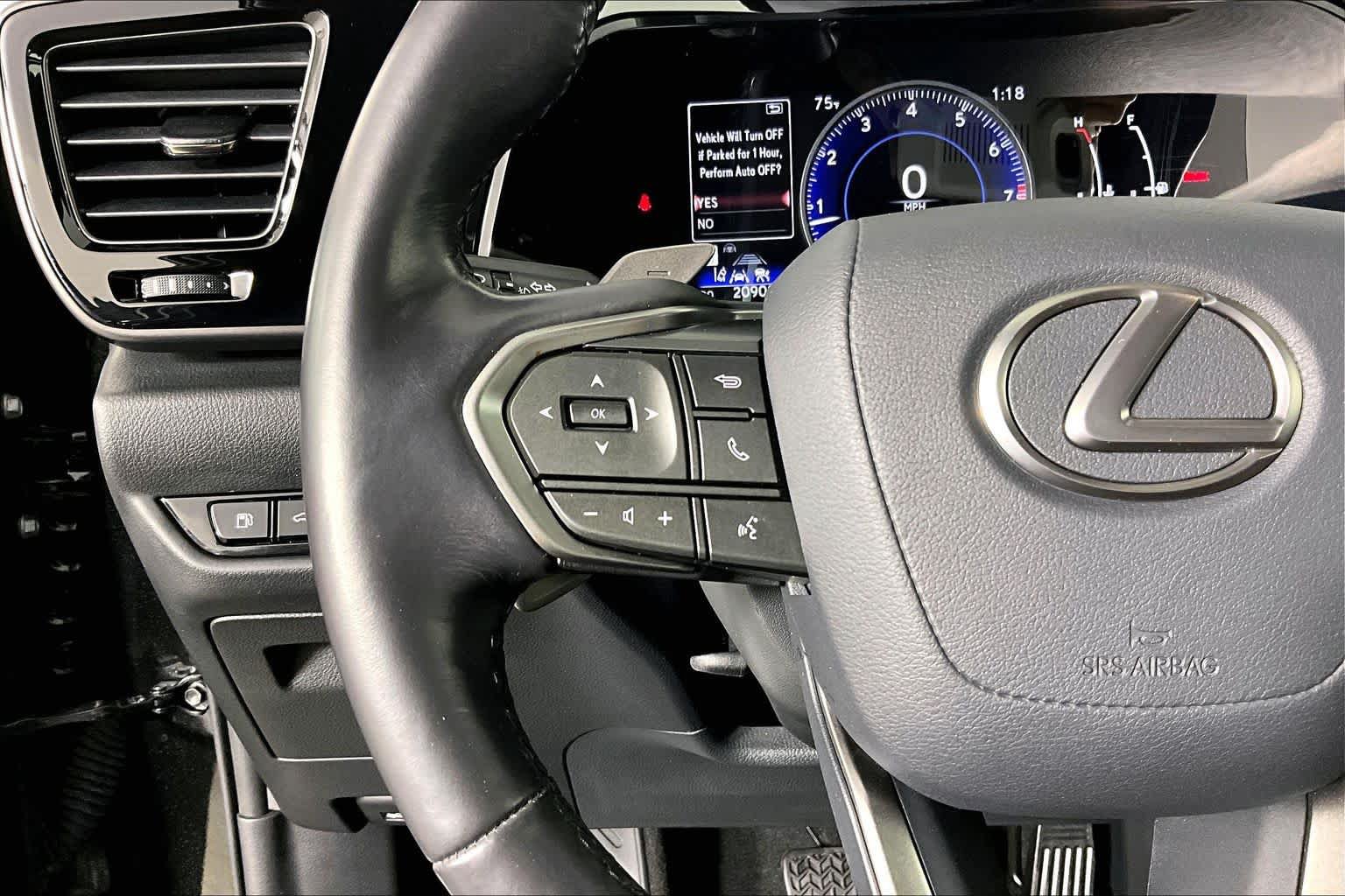 Used 2024 Lexus NX 250 AWD w/ Cold Area Package image 22