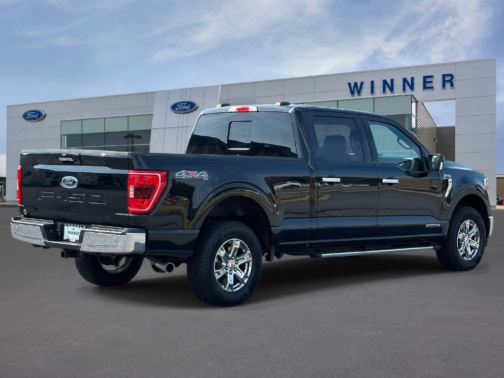 Used 2023 Ford F150 XLT w/ Equipment Group 302A High AWD/4WD image 4