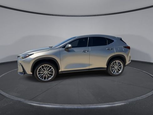 Used 2025 Lexus NX 350 AWD w/ Cold Area Package image 5