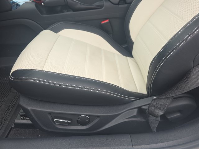 Used 2015 Ford Mustang 50 Years RWD image 9