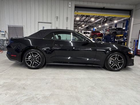 Used 2023 Ford Mustang Premium image 7