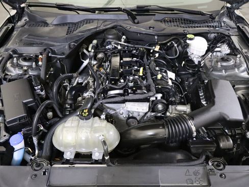 Used 2022 Ford Mustang Premium image 14