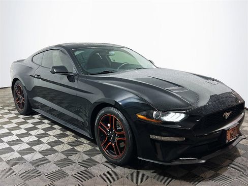 Used 2019 Ford Mustang Coupe w/ Equipment Group 101A image 1
