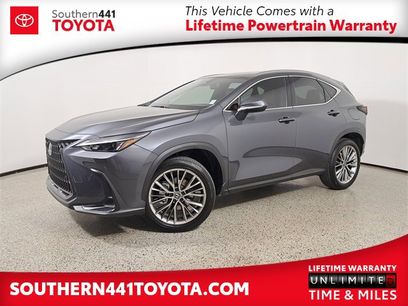 Used 2025 Lexus NX 350h AWD w/ Premium Package