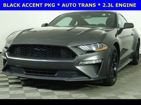 Used 2019 Ford Mustang Coupe w/ Black Accent Package image 1