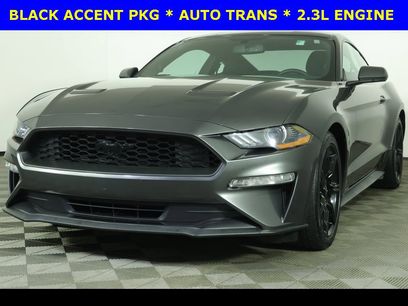 Used 2019 Ford Mustang Coupe w/ Black Accent Package