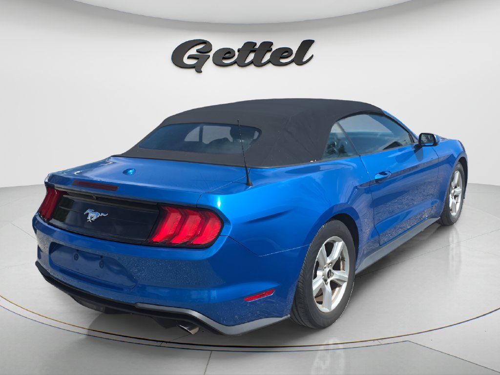 Used 2019 Ford Mustang Convertible RWD image 4