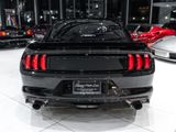 Used 2015 Ford Mustang GT w/ GT Performance Package image 3