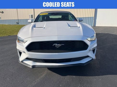 Used 2021 Ford Mustang Premium image 9