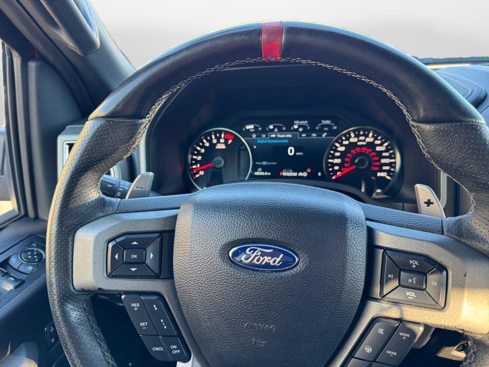 Used 2019 Ford F150 Raptor w/ Equipment Group 802A Luxury AWD/4WD image 10