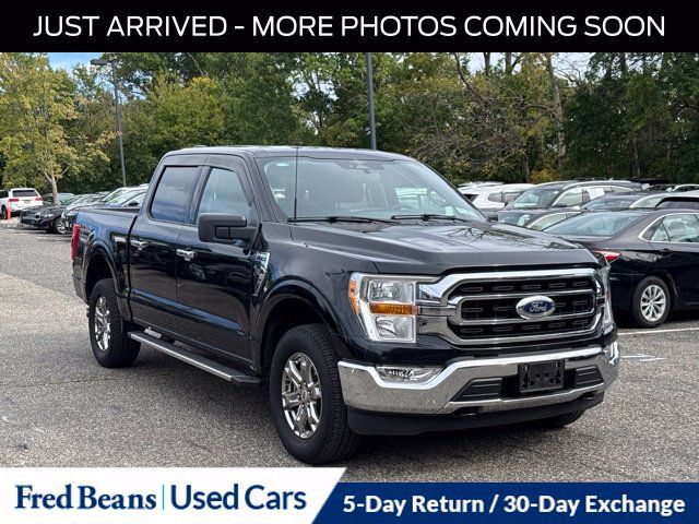 Used 2023 Ford F150 XLT w/ Equipment Group 301A Mid AWD/4WD image 1