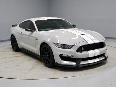 Used 2017 Ford Mustang Shelby GT350