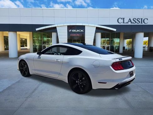 Used 2023 Ford Mustang Premium w/ Mustang Nite Pony Package RWD image 6