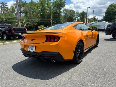 Used 2026 Ford Mustang Coupe w/ Mustang Nite Pony Package RWD image 6