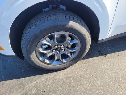 New 2026 Ford Maverick XLT w/ Equipment Group 301A