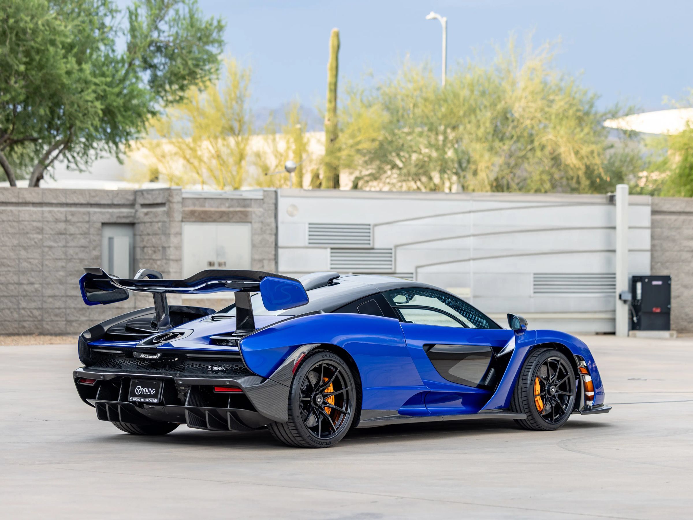 Used 2019 McLaren Senna RWD image 8