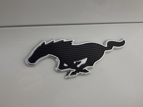 New 2025 Ford Mustang Mach-E Premium w/ Interior Protection Package image 5