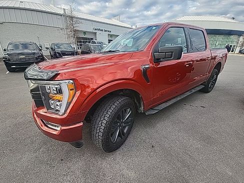 Used 2023 Ford F150 XLT w/ Equipment Group 302A High image 5