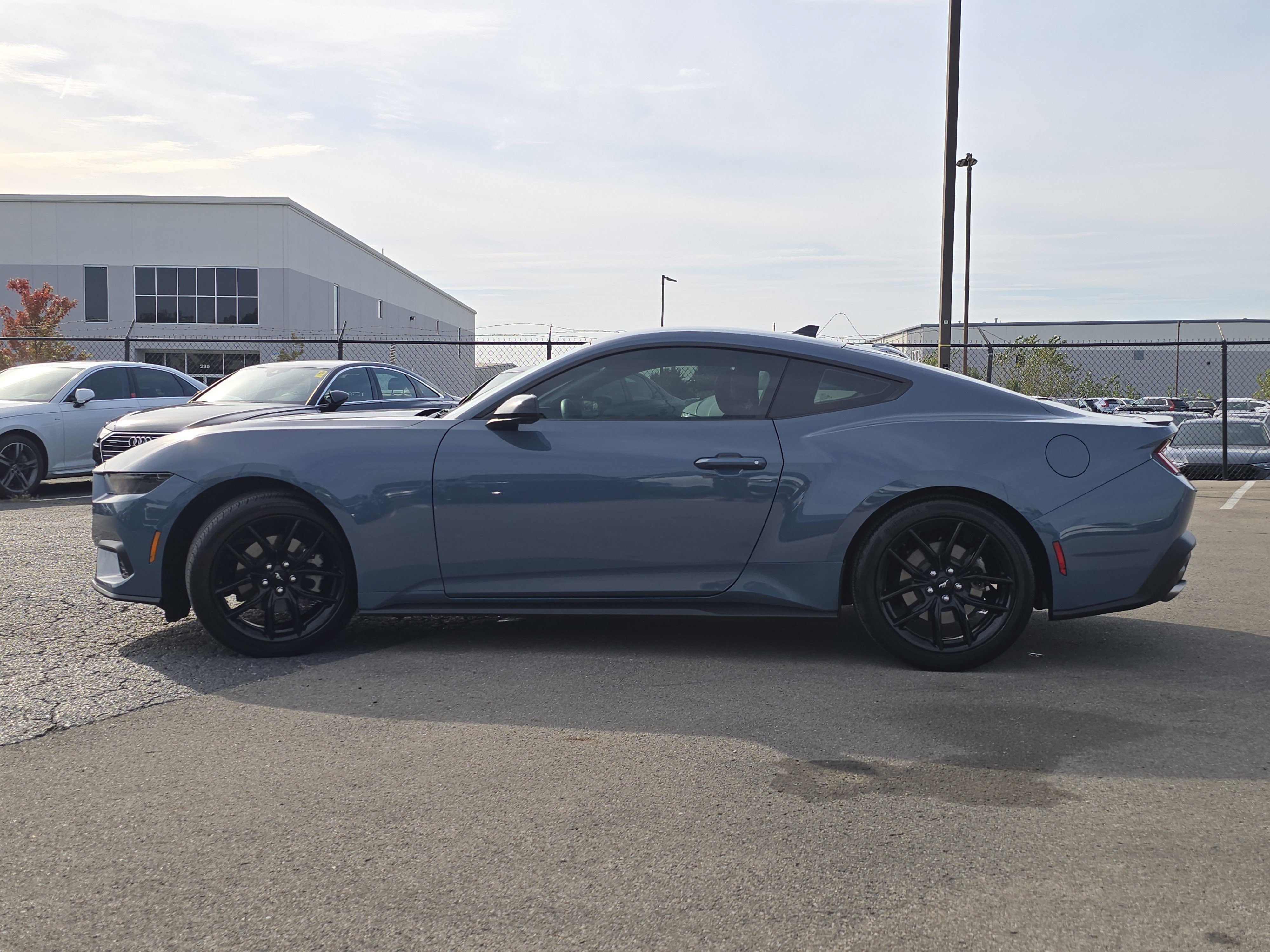 Used 2024 Ford Mustang Premium w/ Mustang Nite Pony Package RWD image 4
