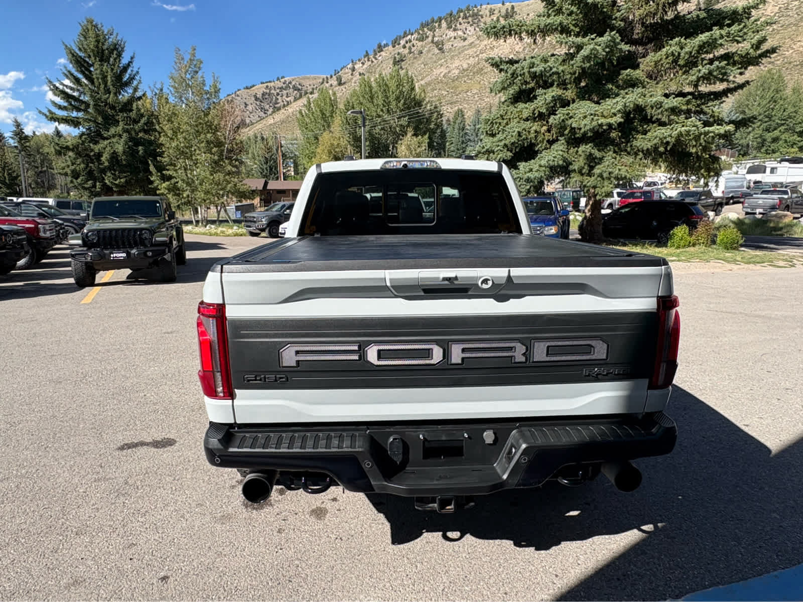Used 2024 Ford F150 Raptor AWD/4WD image 6
