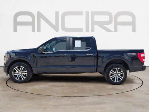 Used 2023 Ford F150 XL w/ STX Appearance Package RWD image 7