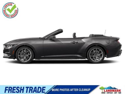 Used 2024 Ford Mustang Premium image 1