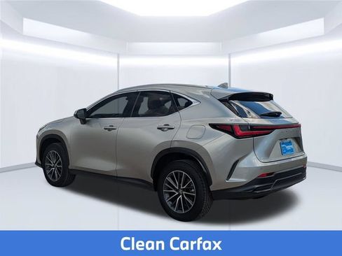Used 2024 Lexus NX 350h AWD w/ Cold Area Package image 4