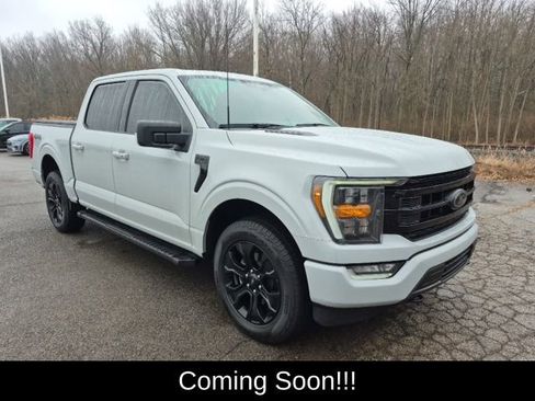 Used 2023 Ford F150 XLT w/ Equipment Group 302A High image 3