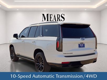 Used 2024 Cadillac Escalade Sport Platinum w/ LPO, ONYX Package