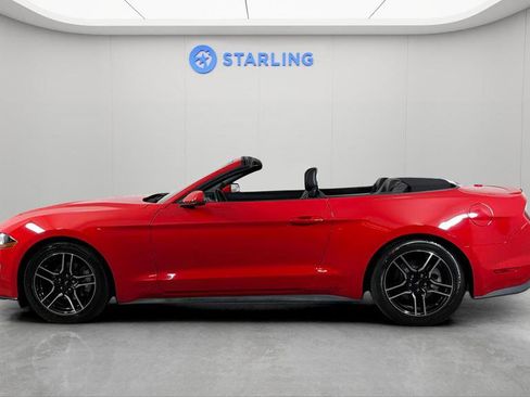 Used 2020 Ford Mustang Premium RWD image 3
