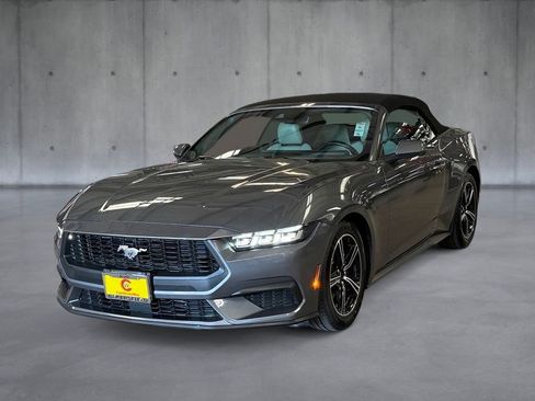 Used 2024 Ford Mustang Premium image 1