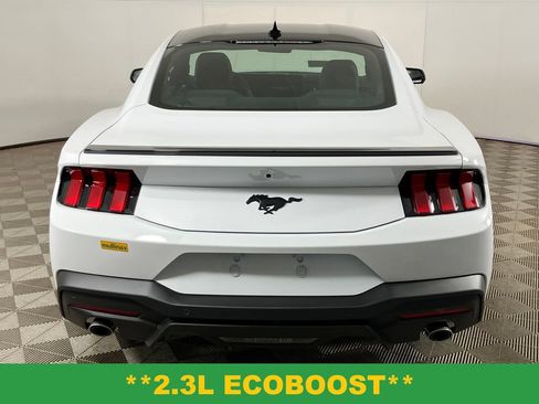 New 2025 Ford Mustang Premium w/ Mustang Nite Pony Package image 8