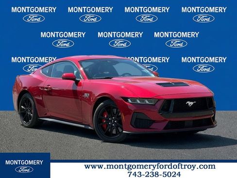 Used 2024 Ford Mustang GT Premium RWD image 1