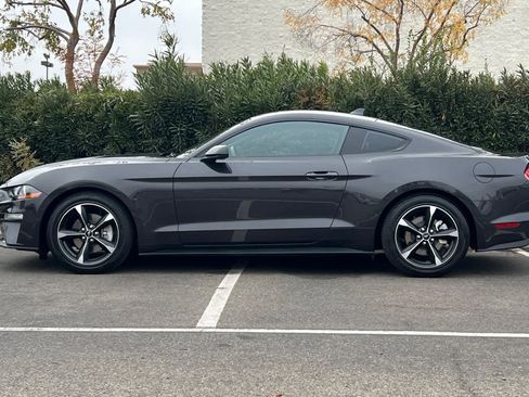 Certified 2023 Ford Mustang Coupe w/ Equipment Group 101A image 5