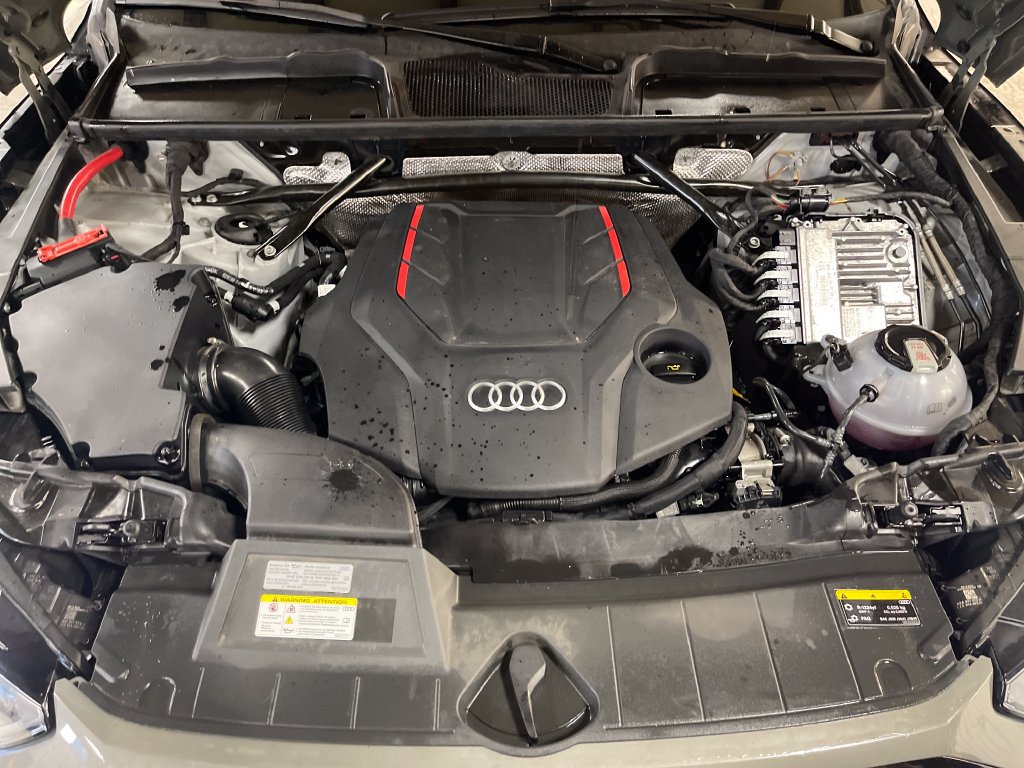 Certified 2023 Audi SQ5 Premium Plus w/ Premium Plus Package AWD/4WD image 10
