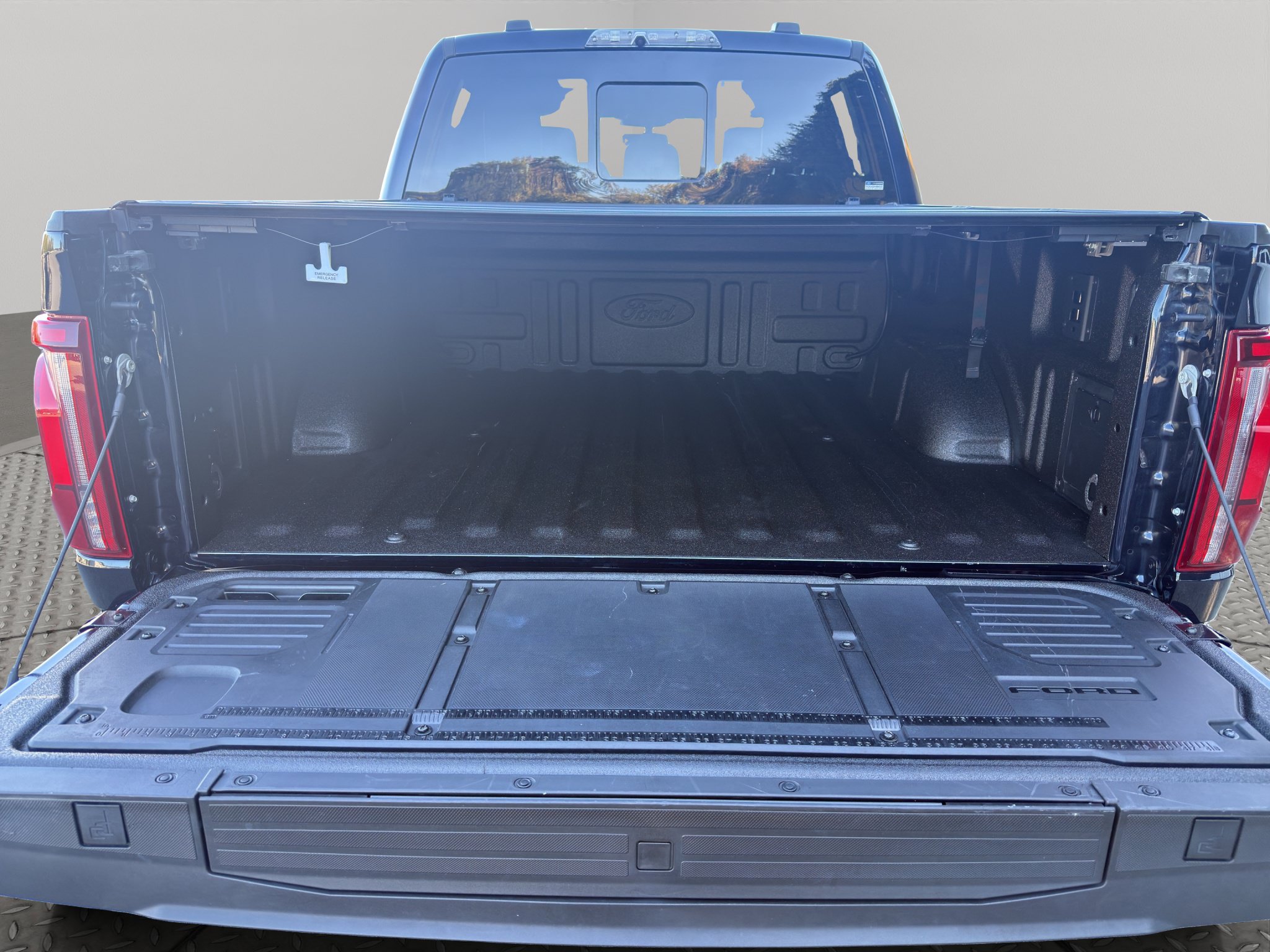 Used 2025 Ford F150 Raptor AWD/4WD image 9