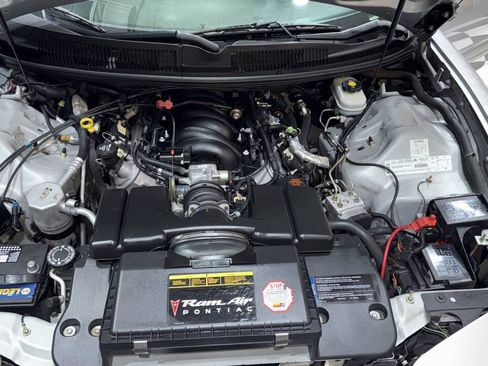 Used 2002 Pontiac Firebird Trans Am image 3