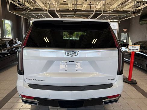 Used 2021 Cadillac Escalade Premium Luxury AWD/4WD image 5