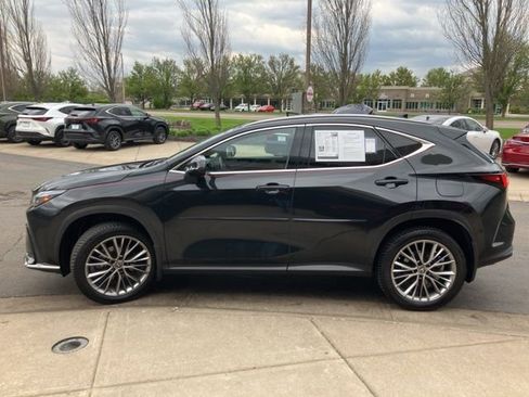 Used 2023 Lexus NX 350h AWD w/ Rear Seat Package image 6