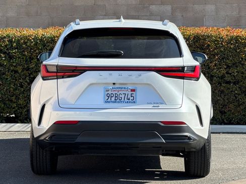 Certified 2025 Lexus NX 350h AWD w/ Cold Area Package image 5
