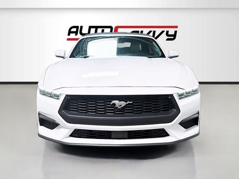 Used 2024 Ford Mustang Premium RWD image 2