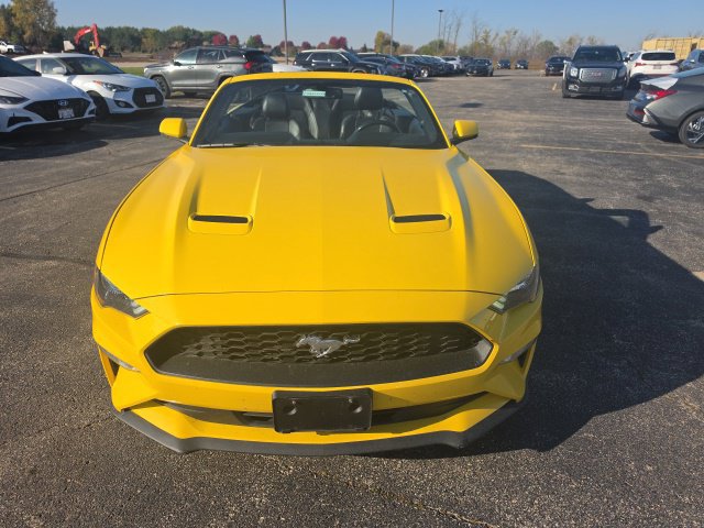 Used 2018 Ford Mustang Premium w/ Equipment Group 201A RWD image 2