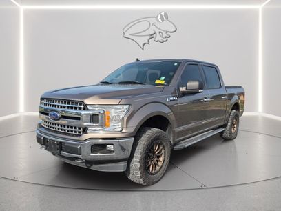 Used 2019 Ford F150 XLT w/ Equipment Group 302A Luxury