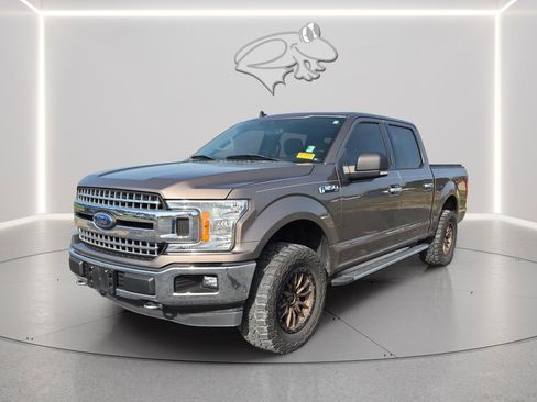 Used 2019 Ford F150 XLT w/ Equipment Group 302A Luxury image 1
