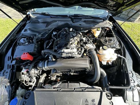 Used 2024 Ford Mustang Coupe w/ Mustang Nite Pony Package RWD image 24