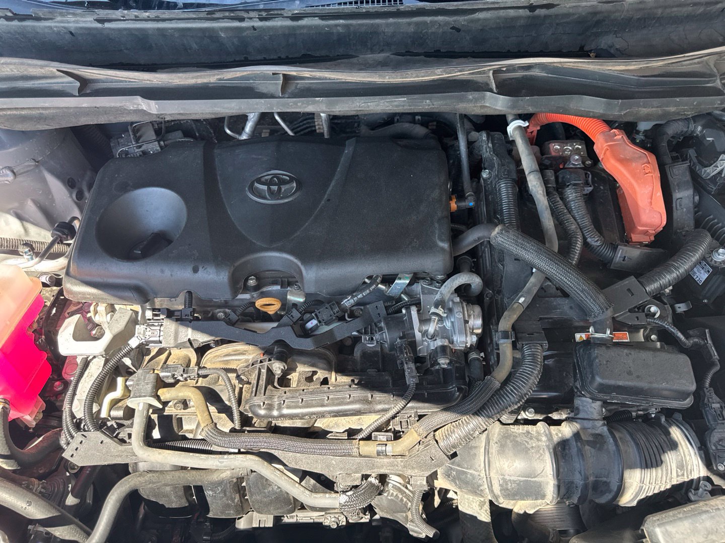 Used 2023 Toyota Sienna XLE Woodland Edition AWD/4WD image 30