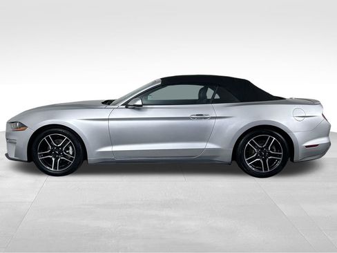 Used 2019 Ford Mustang Premium RWD image 9