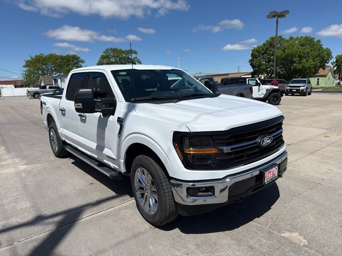 Used 2025 Ford F150 XLT w/ Equipment Group 303A High AWD/4WD image 2