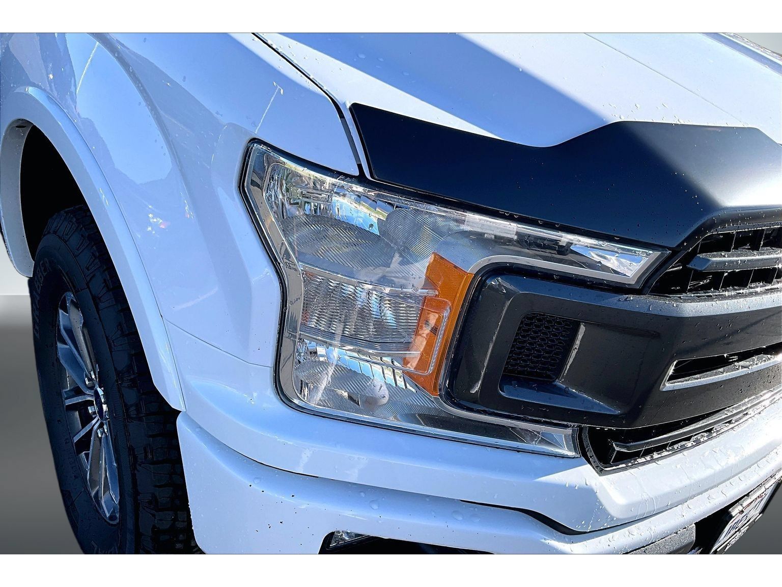 Used 2019 Ford F150 XLT w/ Equipment Group 302A Luxury AWD/4WD image 26