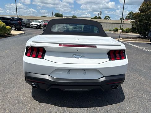 Used 2025 Ford Mustang Premium RWD image 6
